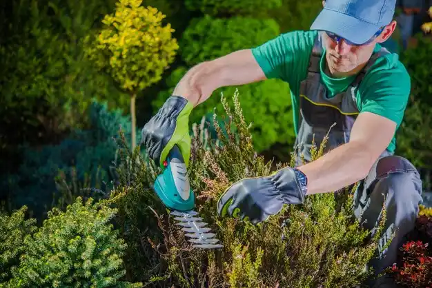 landscaping services University Heights